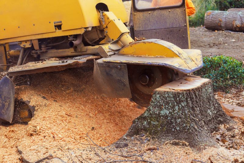 Tree Stump Grinding And Removal