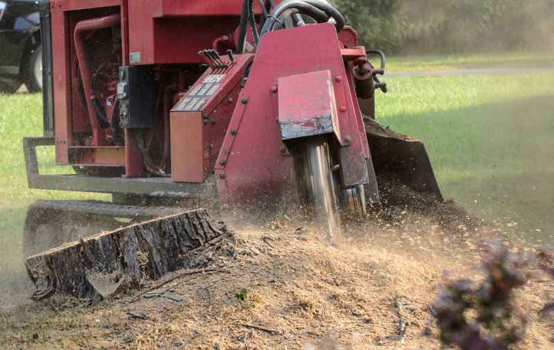 Tree Stump Grinding And Removal