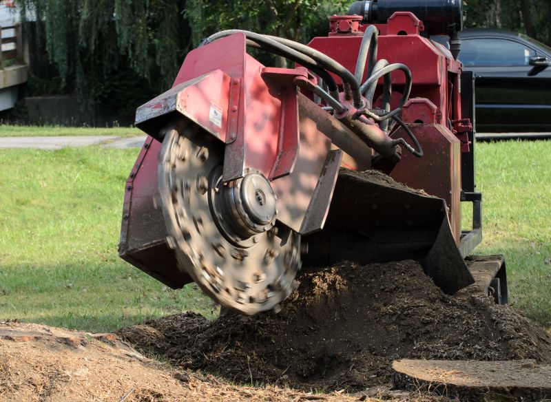 Tree Stump Grinding And Removal