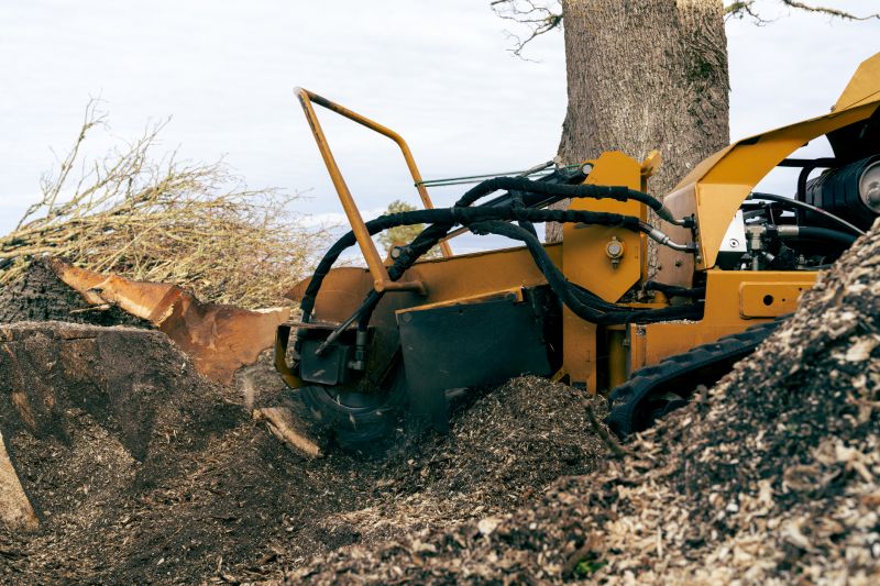 Stump Grinding Service detail