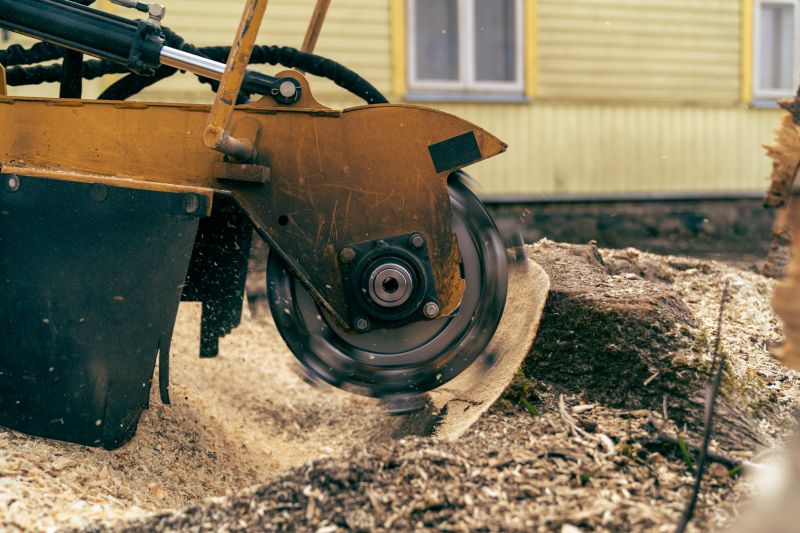 Stump Grinding Service detail