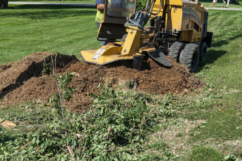 Improves Yard Aesthetics