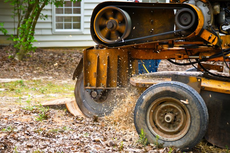 Tree Stump Grinding And Removal